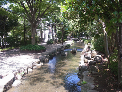 江戸川区の親水公園風景